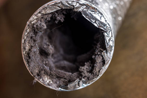 Best Residential Air Duct Cleaning  in Elk Grove Vlage, IL