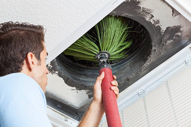 Best Affordable Duct Cleaning Services  in Elk Grove Vlage, IL