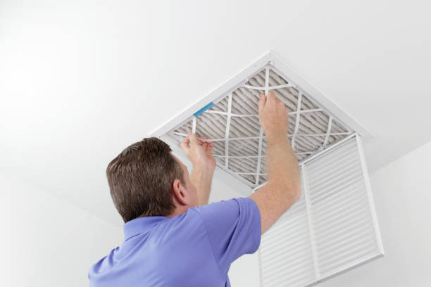 Air Duct Mold Removal in Elk Grove Village, IL